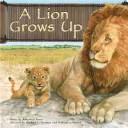 A Lion Grows Up (Wild Animals) by Anastasia Suen, Michael Denman, William Huiett