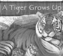 Cover of: A Tiger Grows Up (Wild Animals) by Anastasia Suen, Michael Denman, William Huiett, Anastasia Suen