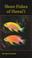 Cover of: Shore fishes of Hawaii