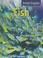 Cover of: Fish (Animal Kingdom)