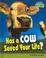 Cover of: Has a Cow Saved Your Life?: The Scientific Method (Raintree Fusion: Life Science)