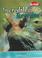 Cover of: Incredible Reptiles (Townsend, John, Incredible Creatures.)
