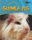 Cover of: Life Of A Guinea Pig (Life Cycles)