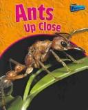 Cover of: Ants up Close (Minibeasts Up Close)
