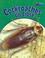 Cover of: Cockroaches Up Close (Minibeasts Up Close)