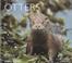 Cover of: Otters