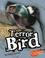 Cover of: Terror Bird