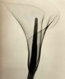 Cover of: Dr. Dain L.Tasker