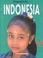 Cover of: Indonesia (Dropping in on)