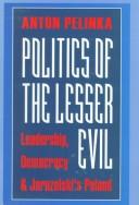 Cover of: Politics of the lesser evil by Anton Pelinka