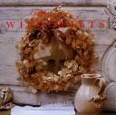 Cover of: Winter Wildcrafts by Tessa Evelegh