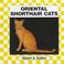 Cover of: Oriental Shorthair Cat (Cats Set II)