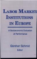 Cover of: Labor market institutions in Europe: a socioeconomic evaluation of performance