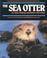 Cover of: Sea Otter,The (Endangered in America)