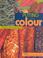 Cover of: Putting in the colour