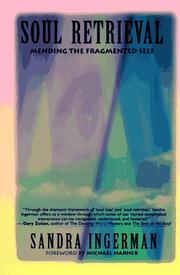 Cover of: Soul retrieval: mending the fragmented self