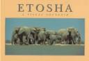 Etosha by Daryl Balfour, Sharna Balfour