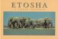 Cover of: Etosha