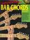 Cover of: Introducing Bar Chords (Learn to Play the Guitar)