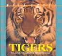 Cover of: Wildcats of the World - Tigers (Wildcats of the World)