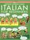 Cover of: Italian for Beginners (Usborne Language Guides)