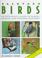 Cover of: Backyard Birds