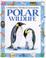 Cover of: Polar Wildlife (Usborne World Wildlife)