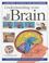 Cover of: Understanding Your Brain (Science for Beginners Series)