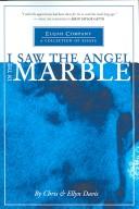 Cover of: I Saw the Angel in the Marble