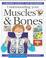 Cover of: Understanding Your Muscles & Bones (Science for Beginners Series)