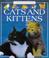 Cover of: Cats and Kittens (First Pets)