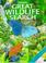Cover of: Great Wildlife Search (Great Searches)