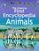 Cover of: First Encyclopedia of Animals (Usborne First Encyclopedia)