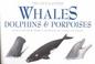 Cover of: Whales, Dolphins and Porpoises (Little Guides)