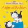 Cover of: Animal Babies