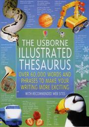 Cover of: The Usborne Illustrated Thesaurus (Usborne Illustrated Dictionaries) by Jane Bingham