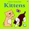 Cover of: The Usborne Big Touchy Feely Book of Kittens (Touchy-Feely Board Books)