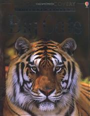 Cover of: Big Cats (Internet-linked "Discovery" Programme) by J. Sheikh-Miller