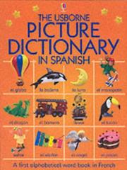 Cover of: The Usborne Picture Dictionary in Spanish (Everyday Words) by Felicity Brookes, Mairi Mackinnon