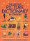 Cover of: The Usborne Picture Dictionary in Spanish (Everyday Words)