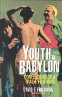 Cover of: A Youth in Babylon by David F. Friedman