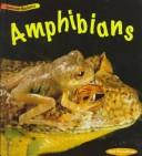 Cover of: Amphibians (Animal Babies (Des Plaines, Ill.).)