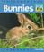 Cover of: Bunnies