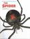 Cover of: The Spider (Giant Look at Little Bugs)