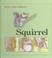 Cover of: Squirrel (Small Furry Animals)