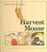 Cover of: Harvest Mouse (Small Furry Animals)