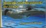 Cover of: Total immersion pool primer for butterfly and breaststroke