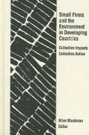 Cover of: Small firms and the environment in developing countries: collective impacts, collective action