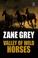 Valley of Wild Horses