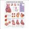 Cover of: Cardiovascular Disease Anatomical Chart